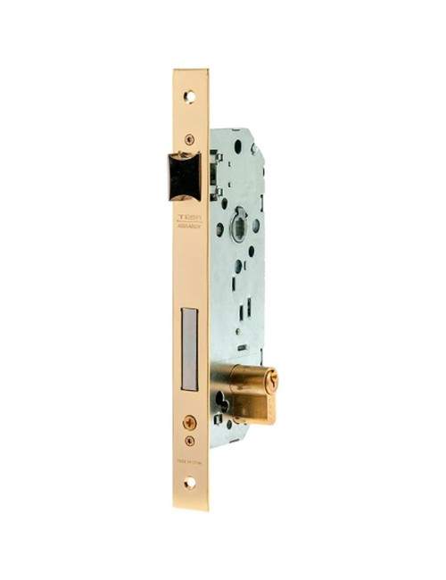 TESA ASSA ABLOY 2030...